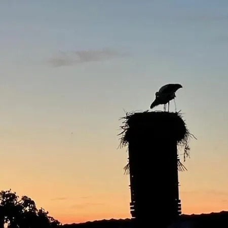 Ferienidyll In An Der Seenplatte Lägenhet Gielow