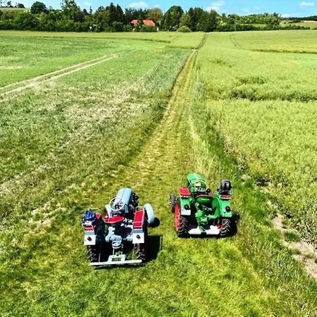 Ferienidyll In An Der Seenplatte * Gielow
